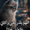 wafaali462