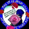 kamilakadra3