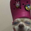 mr_crabsjnr
