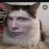 me0w.man.com