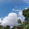 sijenong313