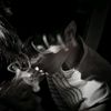 thisuserisugly_