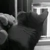 fionanrw24