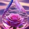 user5147800204545