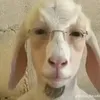 niewiem12345678910929