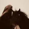 dym70ih9j9g1