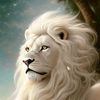 royalknight58