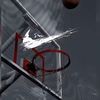 baksetballislife0