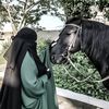 مۭڸآمۭـﺢۧـ بُــݛِۧيّـئــة