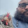 thegreenrooster