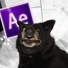 puggie481