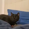 tttrrrtttrrrtttrrrtrtr