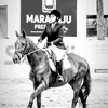 eq_mandioca
