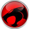 felino_11