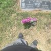 james20boy