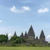nsywaazraa