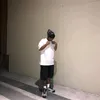 rexpalloolarte