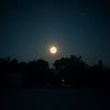strange_account.134