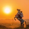 khalid_8474