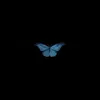 Nazar🦋
