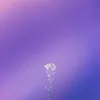 00bla_
