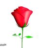 anitha132286