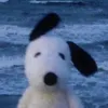 fayenshyt28