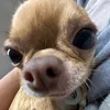 khanhnguyen_249