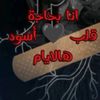 balik197619868156