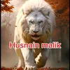 husnain.malik91