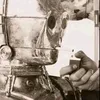 _nikos_22