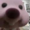 ayokosamgapepol