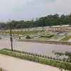 latif140305