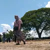 an4k_tunggal