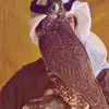 hdmh23