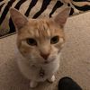 cathlou1311