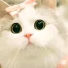 anika_akter0000