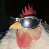 flhsvsj12345