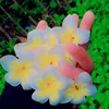 samirasharminpriya