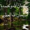 dy3np5u9wjtm