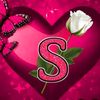 dywn56ms4t6z