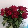 user9308107118799edish
