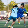 ferdinand_66v1