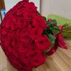 letafetqemberova