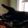 cathearer
