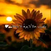 umbassem97