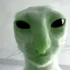 anthleve