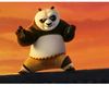 shifu11663167s