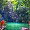 hany_hon1973