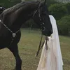 _.rah._1
